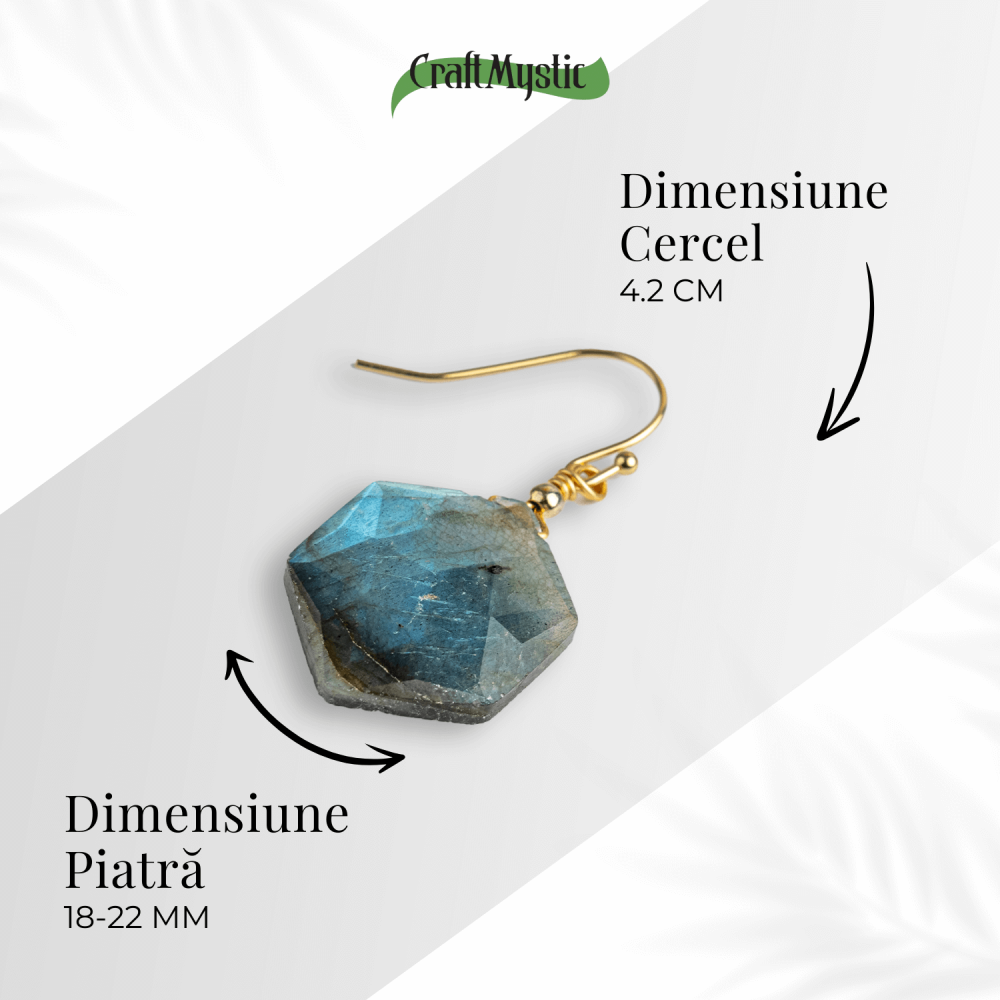 Vibratie Protectoare – Cercei cu Labradorit si Reflexii Albastre [4]