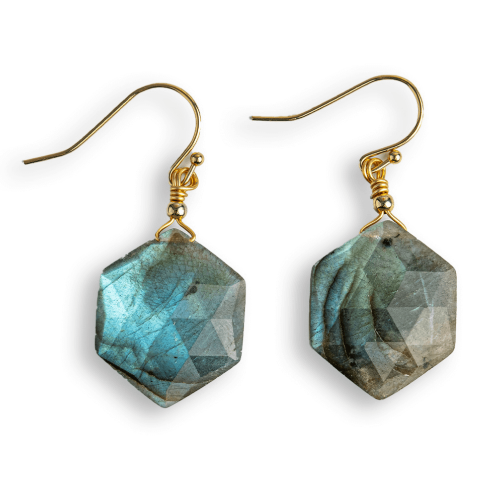 Vibratie Protectoare – Cercei cu Labradorit si Reflexii Albastre [1]