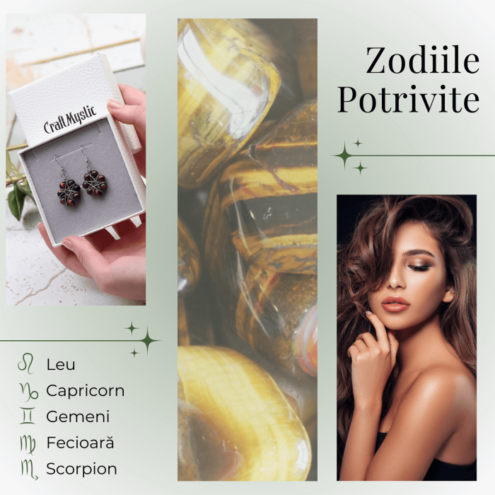 Cercei Argintii in Forma de Floare cu Ochi de Tigru - Sporirea Curajului si Claritatii Mentale [2]