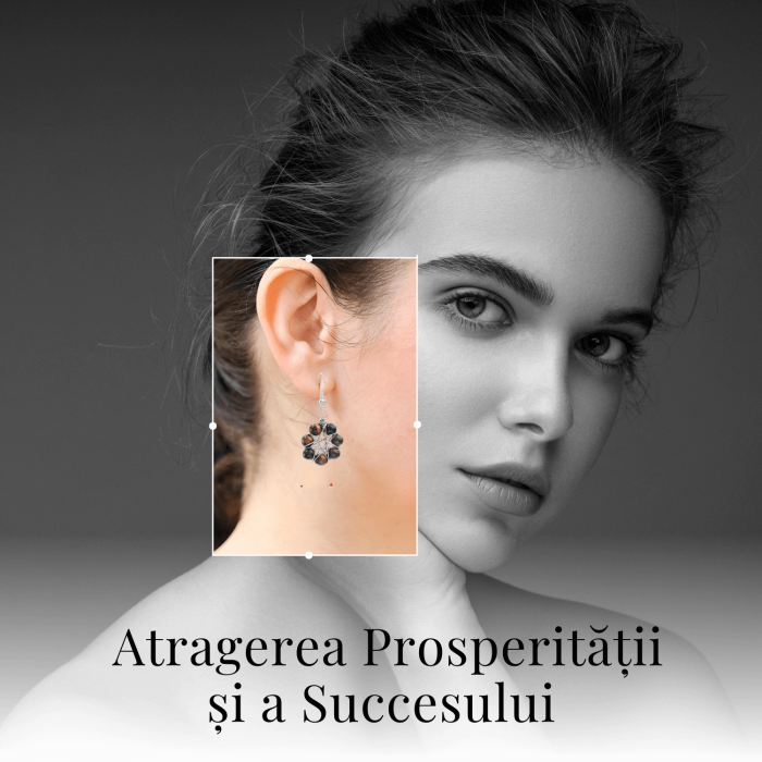 Cercei Argintii in Forma de Floare cu Ochi de Tigru - Sporirea Curajului si Claritatii Mentale [7]