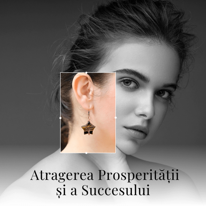 Cercei Eleganti in Forma de Stea cu Piatra Semipretioasa Ochi de Tigru Natural [7]