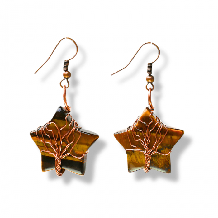 Cercei Eleganti in Forma de Stea cu Piatra Semipretioasa Ochi de Tigru Natural [1]