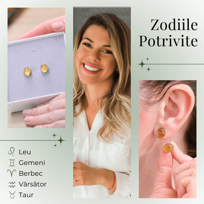 Cercei Argintii cu Citrin si Inchidere Clasica cu Surub [3]