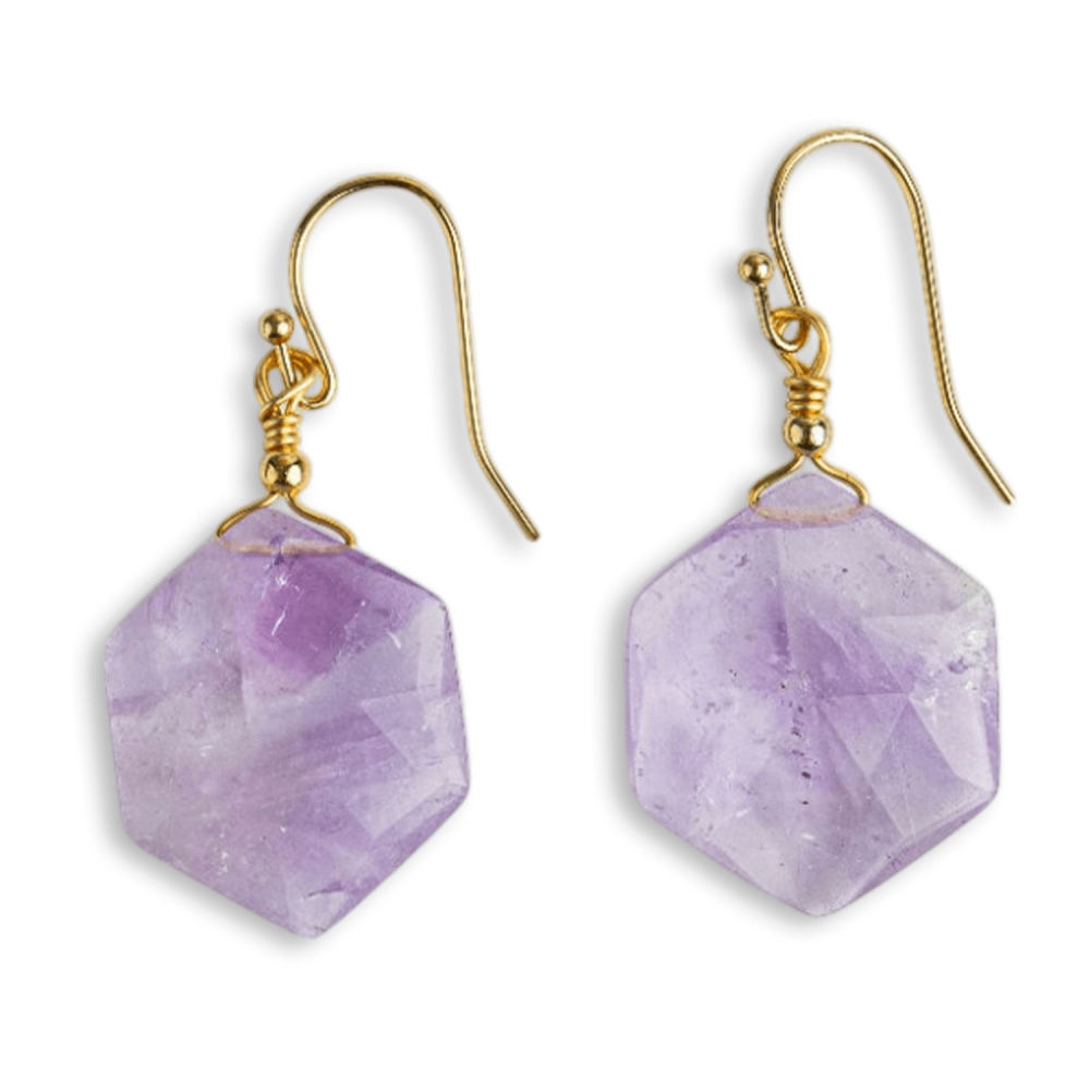 Claritate si Liniste – Cercei cu Ametist Hexagonal [1]