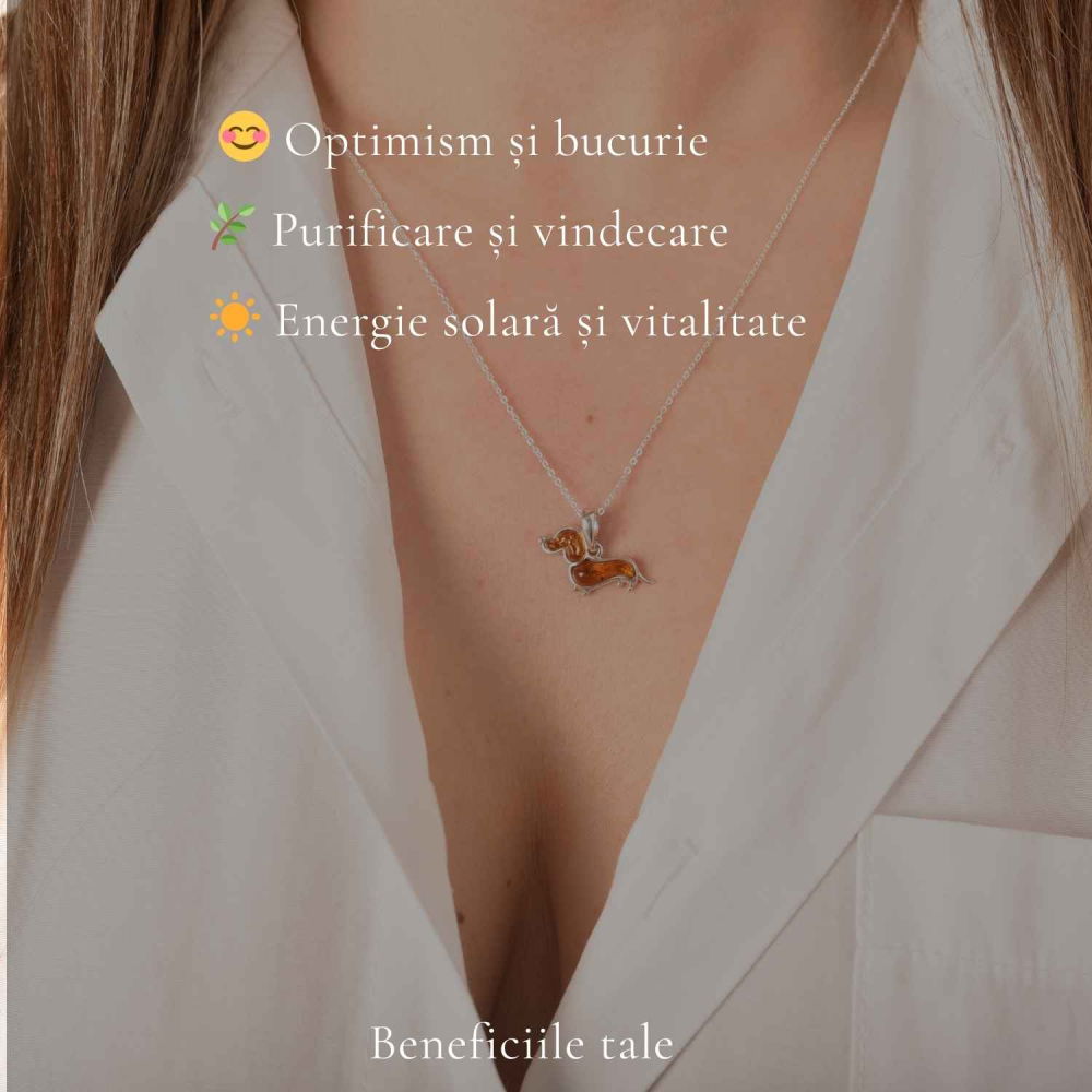 Colier Argint 925 Catel Teckel cu Chihlimbar Natural – Bucurie si Vitalitate [4]