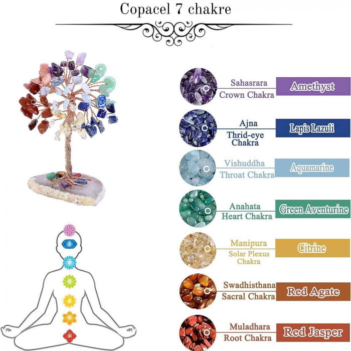 Mini Copacel pietre semipretioase 7 chakra pe felie de agat – decor cristal feng shui, accesorii pentru birou, cristale pentru meditatie [6]