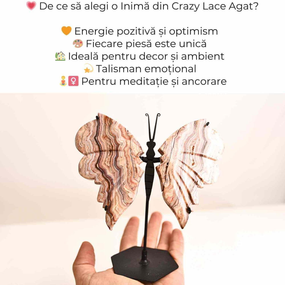 Fluture cu aripi din Crazy Lace Agat – Simbol al transformarii si frumusetii naturale [3]