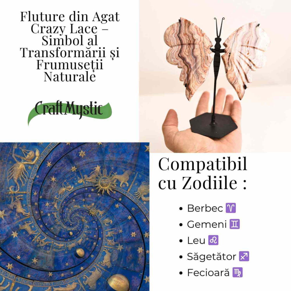 Fluture cu aripi din Crazy Lace Agat – Simbol al transformarii si frumusetii naturale [4]