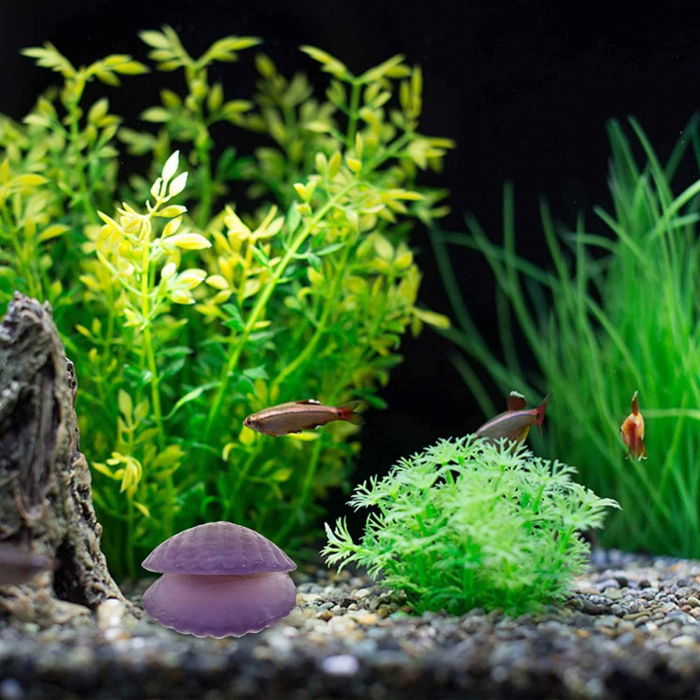 Figurina 4 cm din cristal natural in forma de scoica, ornamente pentru acvariu, marturie tip cadou de nunta, proiecte DIY [6]