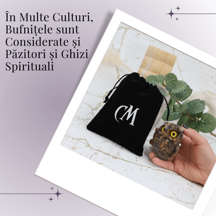 Figurina Bufnita din Ochi de Tigru – Protectie si Claritate Mentala [6]