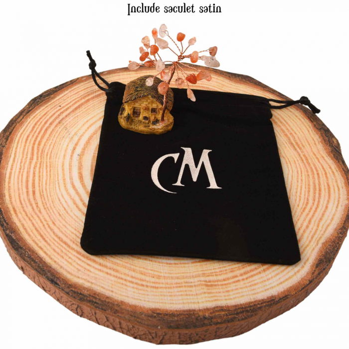 Figurina casuta cu ramuri din cristale naturale Agat Rosu - Decoratiune interior sau exterior, pentru casa, birou, acvariu [4]