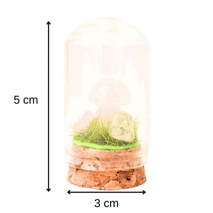 Figurina din piatra naturala semipretioasa in forma de ciuperca in mini terrarium 5 cm din sticla [3]