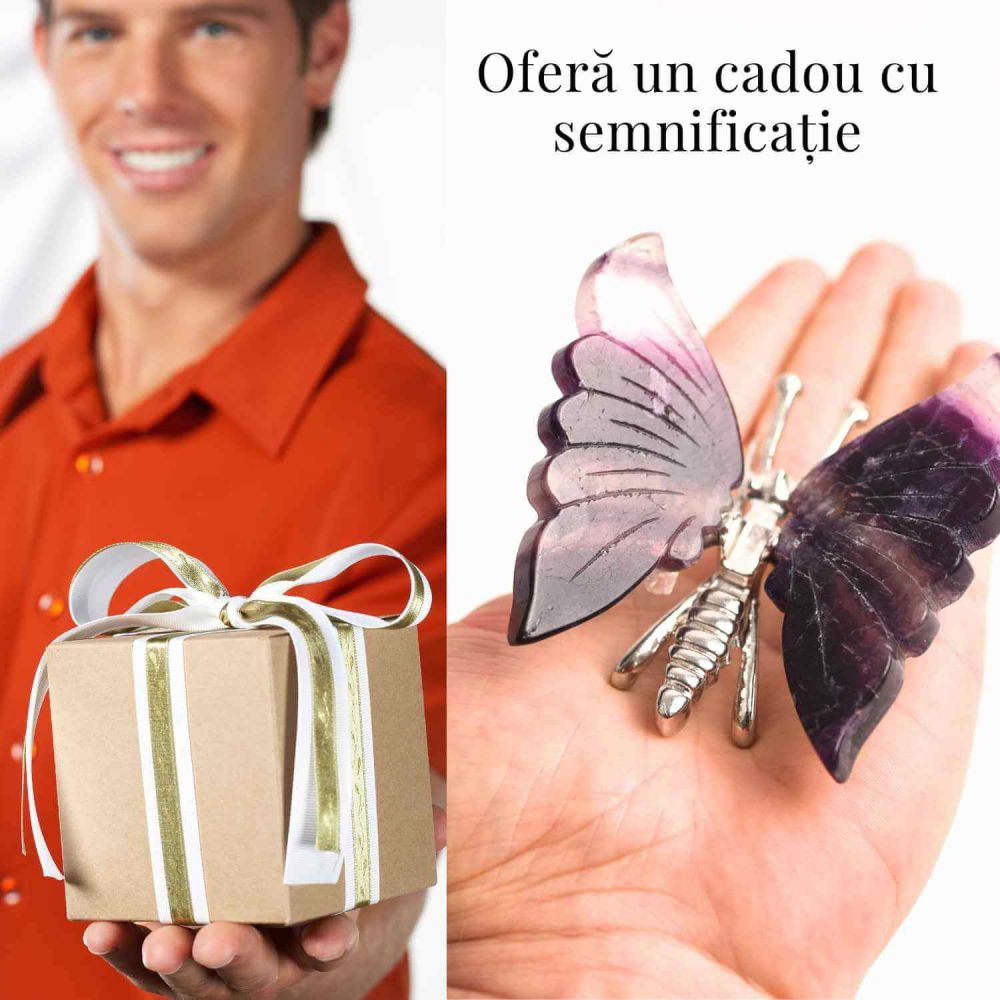 Figurina Fluture din Fluorit Curcubeu - Claritate și Echilibru [6]