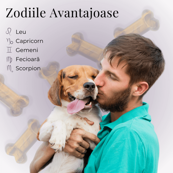 Figurina in Forma de Os din Cristale Naturale - Ametist, Ochi de Tigru, Obsidian si Cuart Roz, 30mm [12]