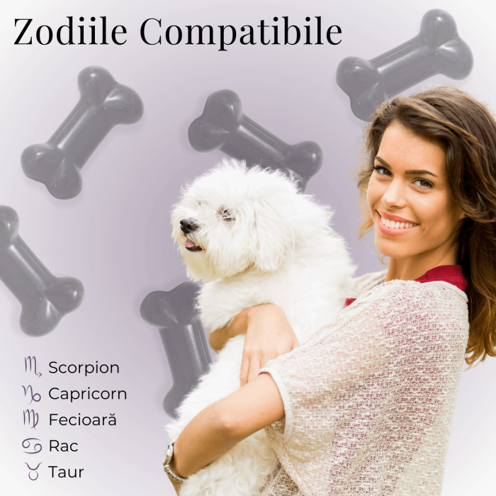 Figurina in Forma de Os din Cristale Naturale - Ametist, Ochi de Tigru, Obsidian si Cuart Roz, 30mm [28]