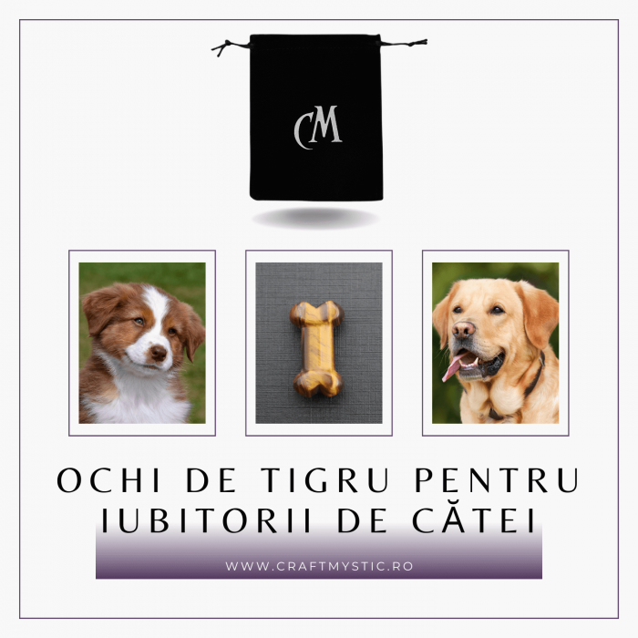 Figurina in Forma de Os din Cristale Naturale - Ametist, Ochi de Tigru, Obsidian si Cuart Roz, 30mm [11]