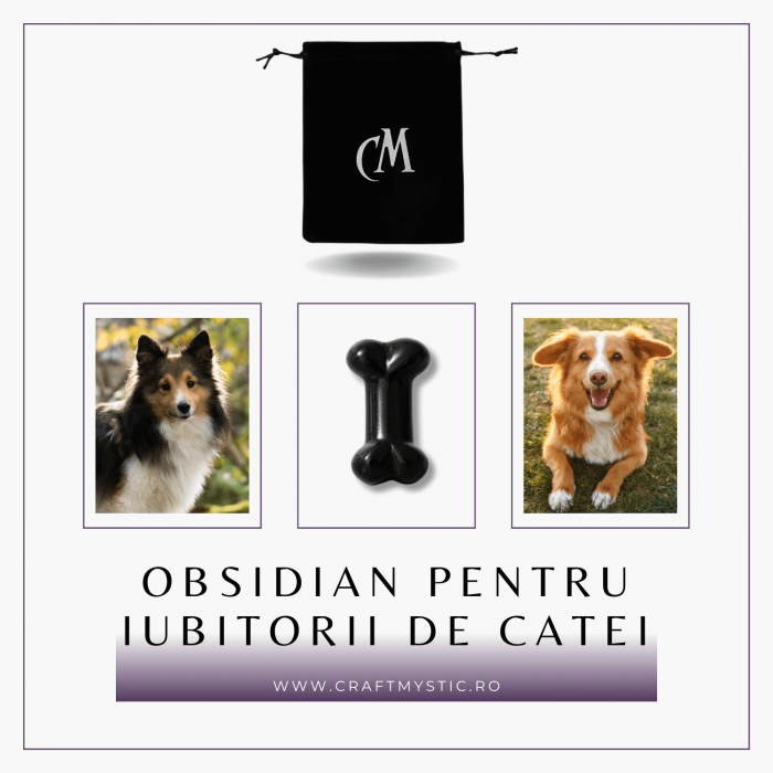 Figurina in Forma de Os din Cristale Naturale - Ametist, Ochi de Tigru, Obsidian si Cuart Roz, 30mm [27]