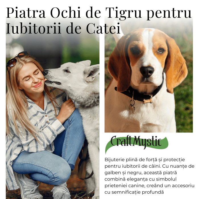 Figurina in Forma de Os din Cristale Naturale - Ametist, Ochi de Tigru, Obsidian si Cuart Roz, 30mm [13]