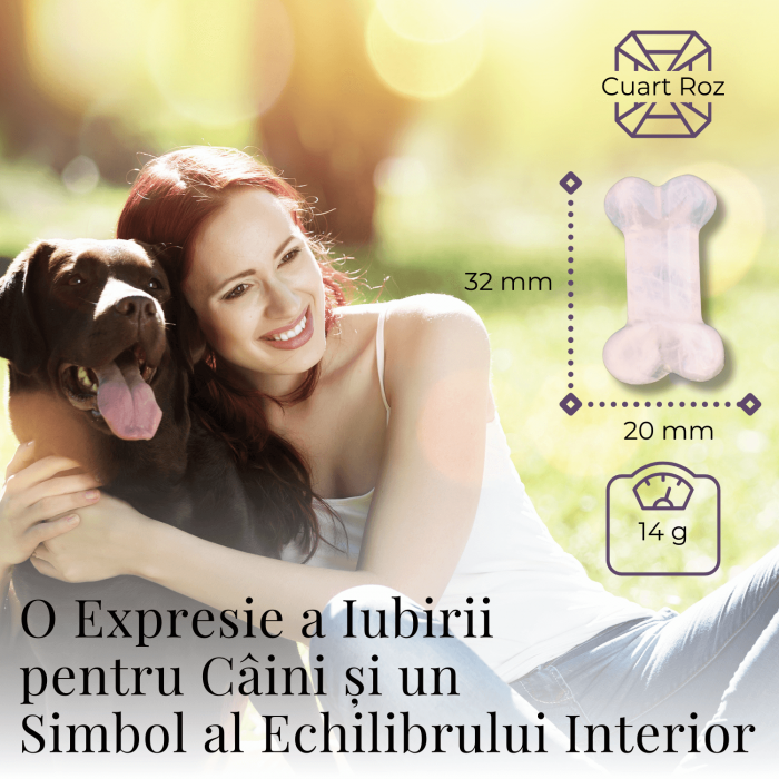 Figurina in Forma de Os din Cristale Naturale - Ametist, Ochi de Tigru, Obsidian si Cuart Roz, 30mm [22]