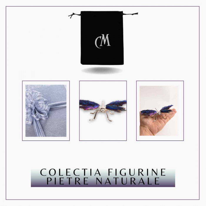 Amuleta Transformare - Libelula Turmalina Neagra Curcubeu [8]