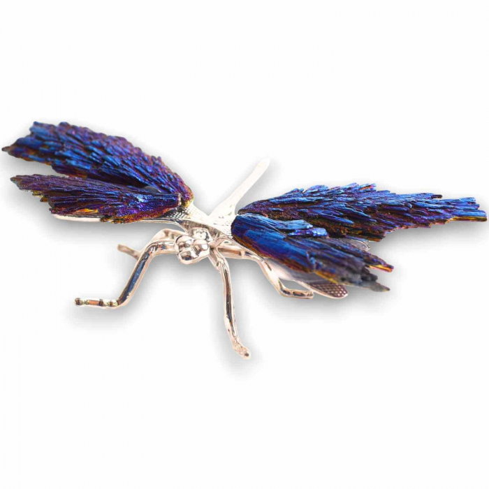 Amuleta Transformare - Libelula Turmalina Neagra Curcubeu [1]