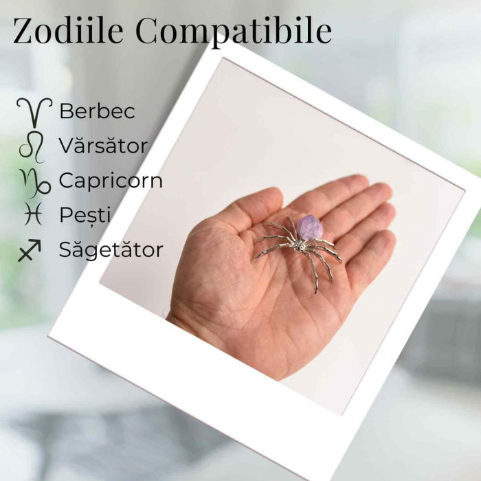 Figurina Paianjen Ametist - Echilibru Emotional si Protectie Energetica [4]