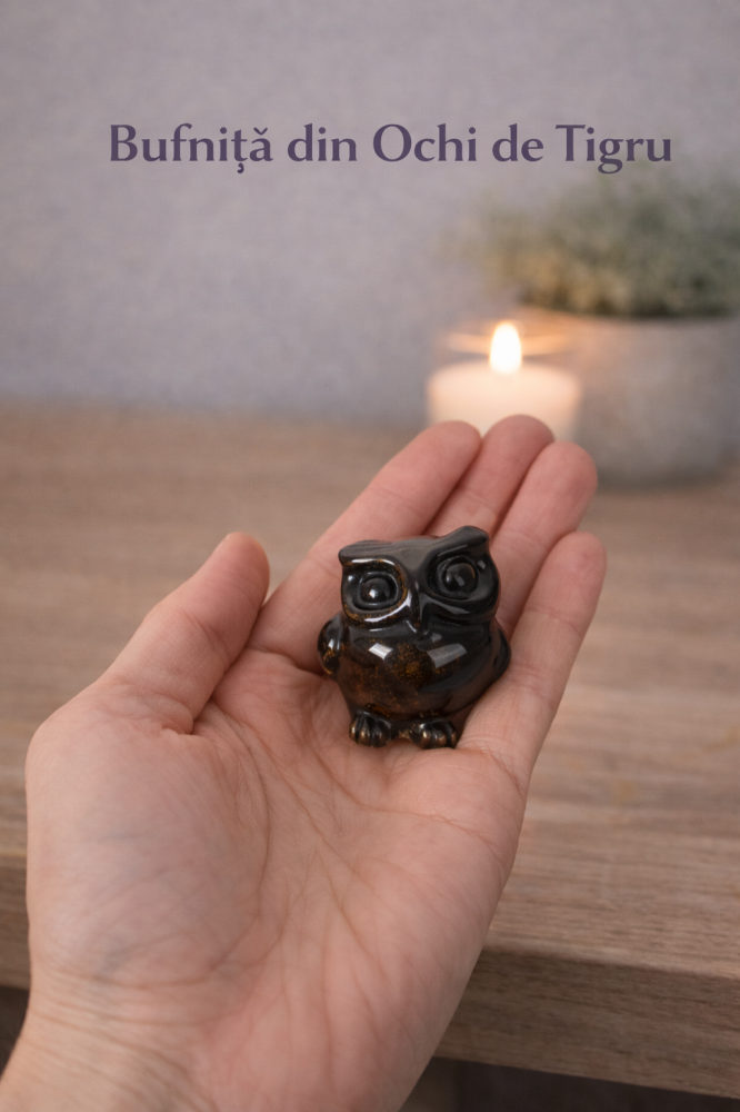 Bufnita Intelepciunii din Ochi de Tigru – Claritate Mentala si Protectie Spirituala [2]