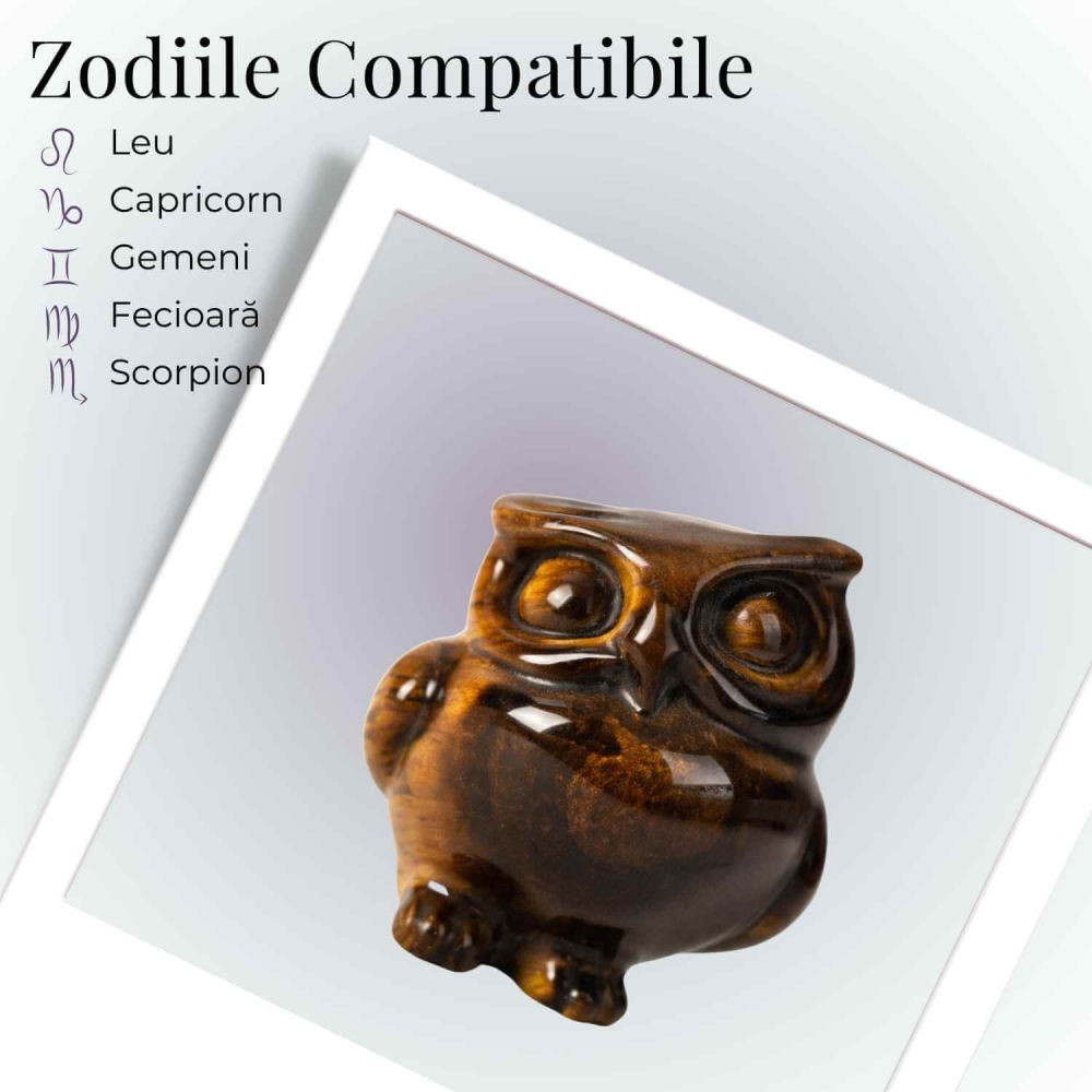 Bufnita Intelepciunii din Ochi de Tigru – Claritate Mentala si Protectie Spirituala [4]