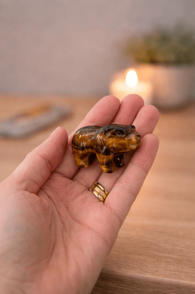 Urs Protector din Ochi de Tigru – Forta Interioara si Stabilitate Energetica [10]