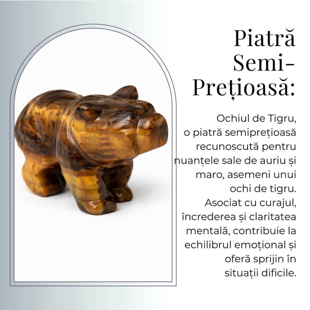 Urs Protector din Ochi de Tigru – Forta Interioara si Stabilitate Energetica [6]