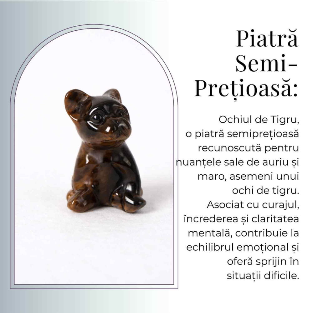 Catel protector din Ochi de Tigru – Curaj, Loialitate si Energie de Protectie [5]