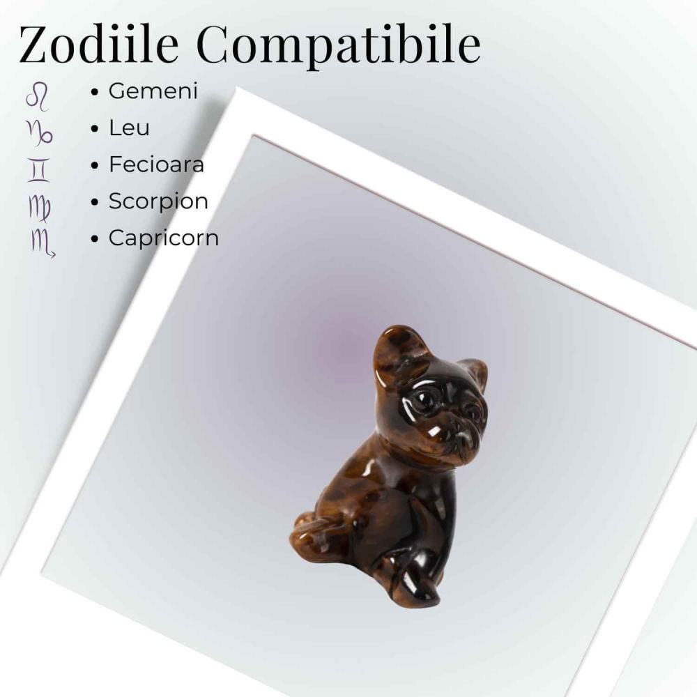 Catel protector din Ochi de Tigru – Curaj, Loialitate si Energie de Protectie [4]