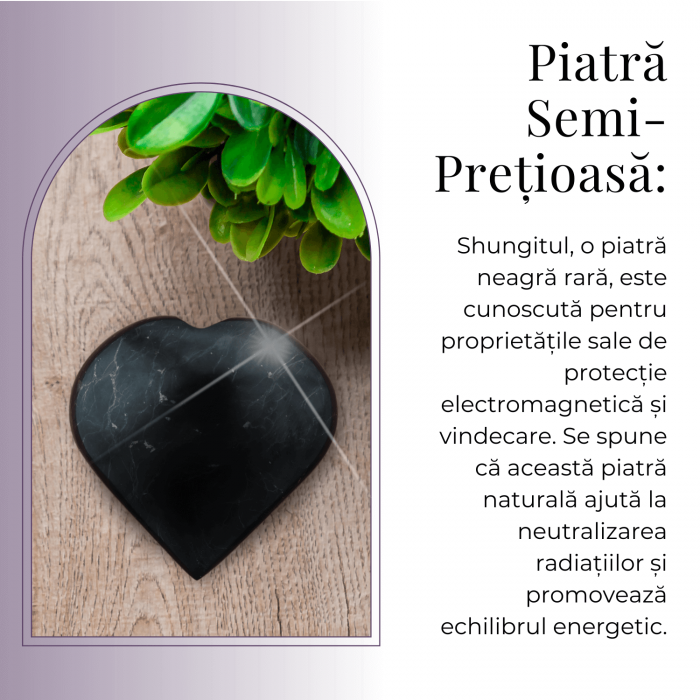 Inima Sculptata Manual de 50mm din Shungit Natural [7]
