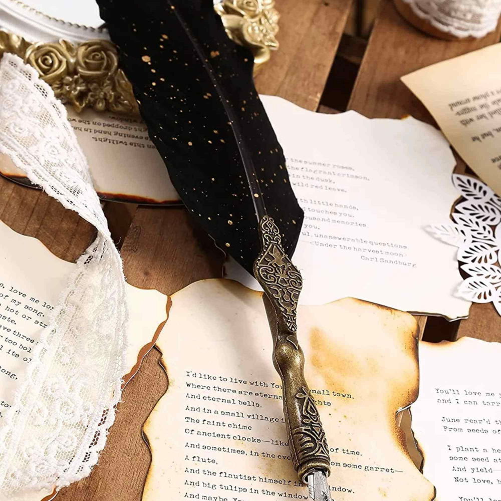 Set Stilou cu Pana - Caligrafie eleganta, cadoul perfect pentru orice ocazie [6]