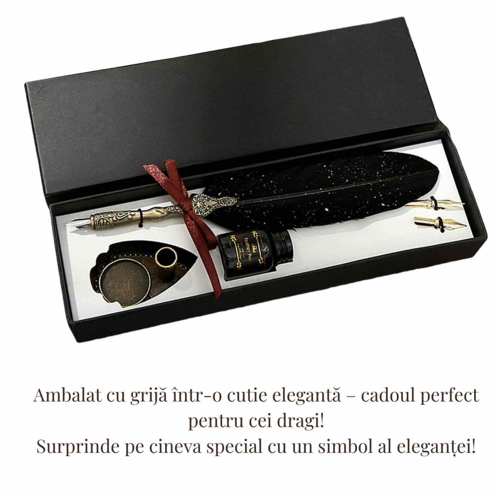 Set Stilou cu Pana - Caligrafie eleganta, cadoul perfect pentru orice ocazie [3]