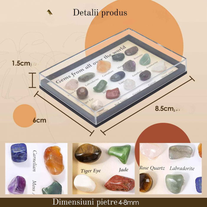Mini set educational copii 15 pietre de colectie | Pietre specimen etichetate, educationale pentru baieti si fete [3]