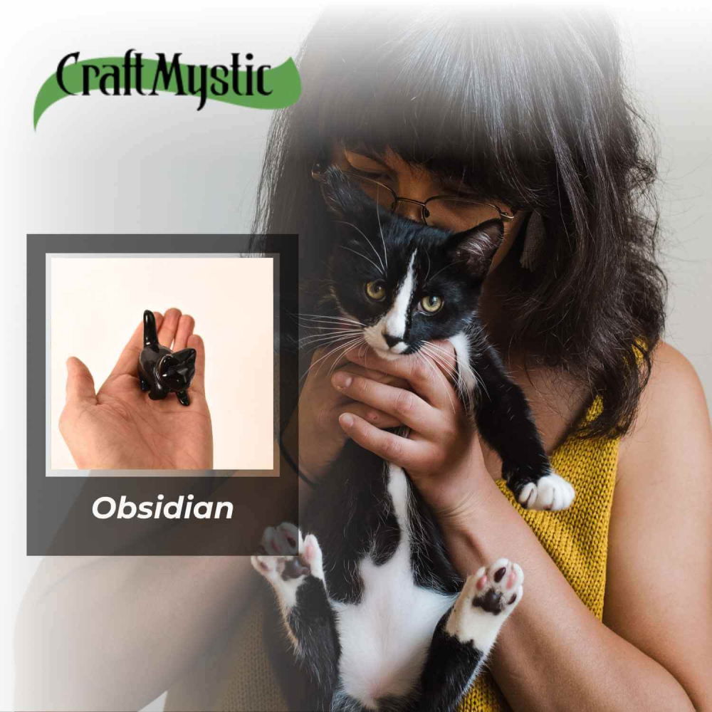 Figurina Pisica din Obsidian Negru – Protectie, Intuitie si Eleganta Mystica [7]