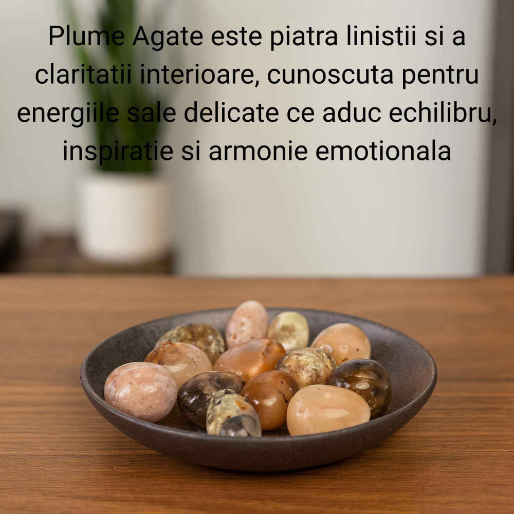 Piatra Naturala Plume Agate din Indonezia – Claritate, Echilibru si Armonie Interioara [4]