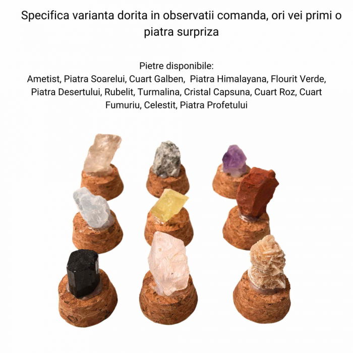 Pietre Brute Specimen 2-3 cm in Sticluta cu Dop de Pluta [2]