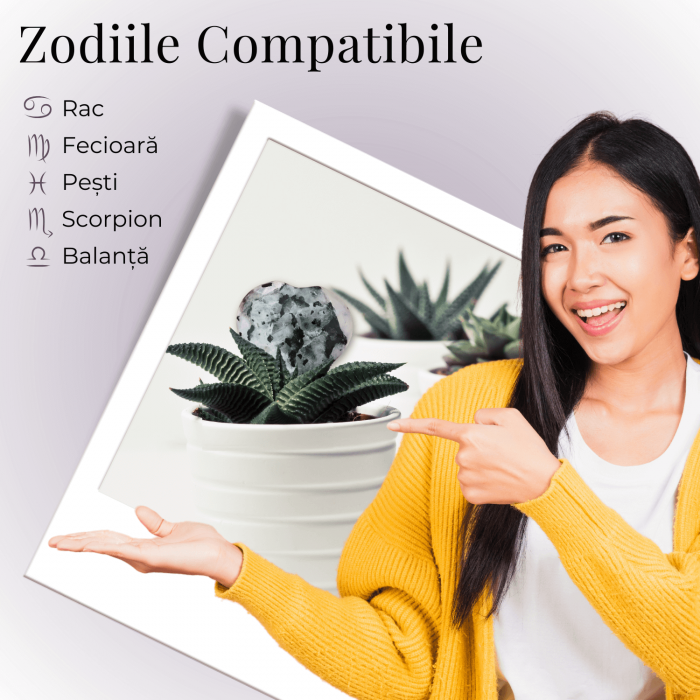 Inima Sculptata Manual de 50mm din Piatra Lunii Curcubeu Naturala [7]