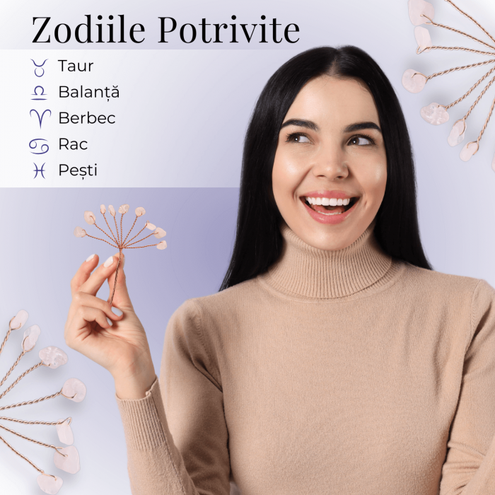 Ramurica Decorativa DIY cu Pietre Naturale Cuart Roz (9 Pietricele) [4]