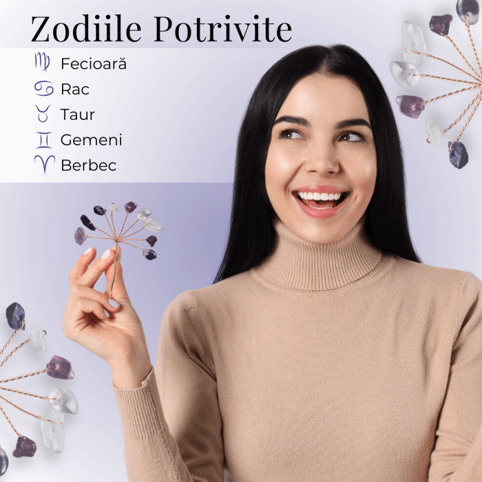 Ramurica Creativa DIY cu Pietre Naturale Fluorit (9 Pietricele) [4]