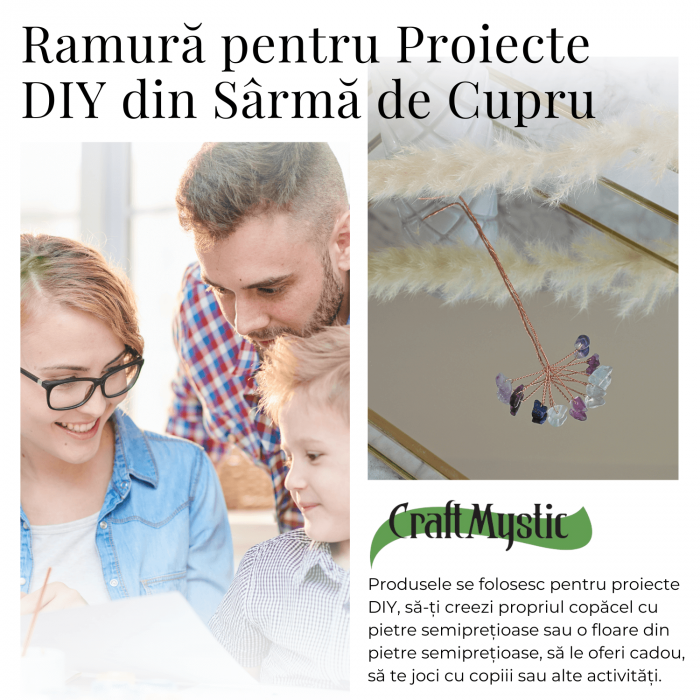 Ramurica Creativa DIY cu Pietre Naturale Fluorit (9 Pietricele) [10]