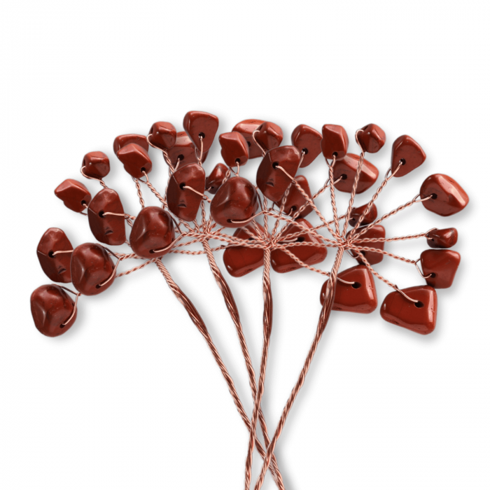 Ramurica Creativa DIY cu Pietre Naturale Jasp Rosu (9 Pietricele) [8]