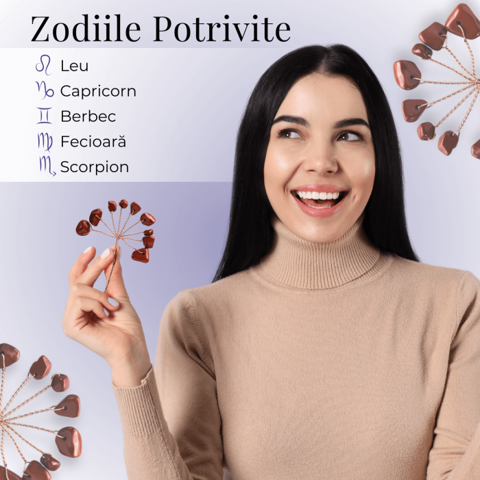 Ramurica Creativa DIY cu Pietre Naturale Jasp Rosu (9 Pietricele) [3]