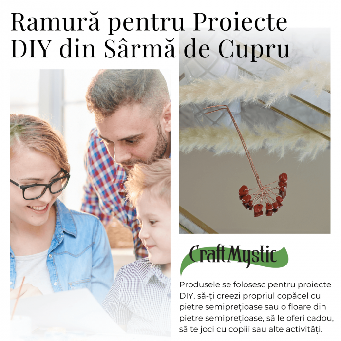 Ramurica Creativa DIY cu Pietre Naturale Jasp Rosu (9 Pietricele) [4]
