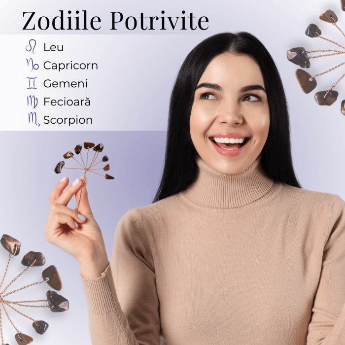 Ramurica Decorativă DIY cu Pietre Naturale Ochi de Tigru (9 Pietricele) [3]