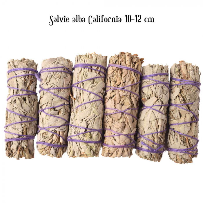 Buchet Salvie Alba California 10-12 cm - Curatare si Purificare Spirituala [3]