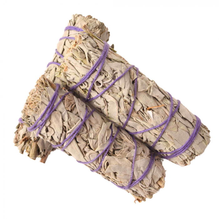 Buchet Salvie Alba California 10-12 cm - Curatare si Purificare Spirituala [5]