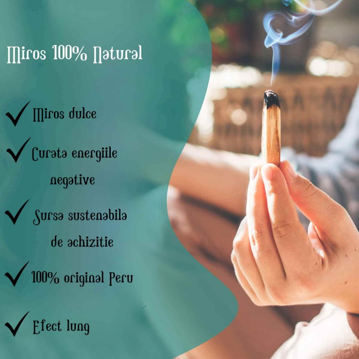 Pachet 10 Bucati Lemn "Sfant" Palo Santo Original din Peru - Pentru Curatarea Cristalelor [4]